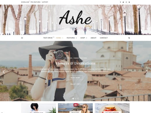 Free WordPress Theme ashe