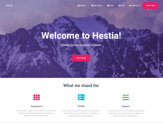 Hestia Top 5 Responsive WordPress Themes in Hindi