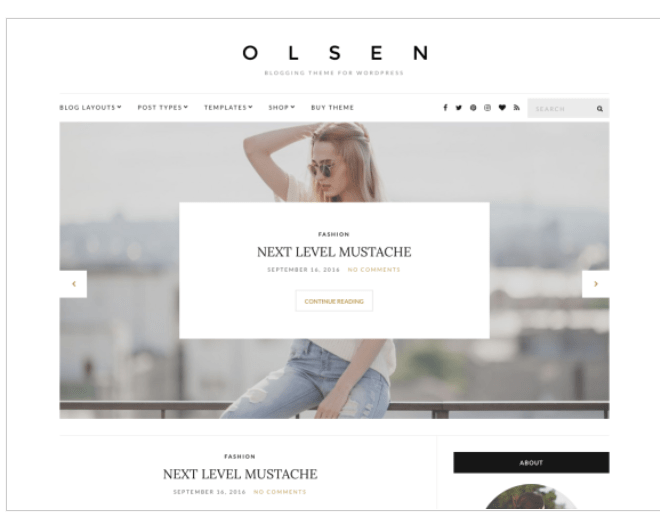 free WordPress Theme Olsen Light