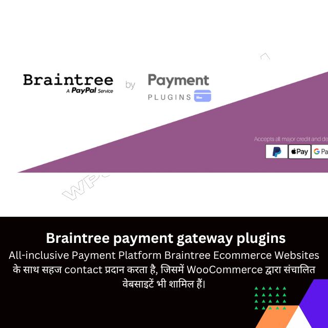Braintree payment gateway plugins Overview in Hindi