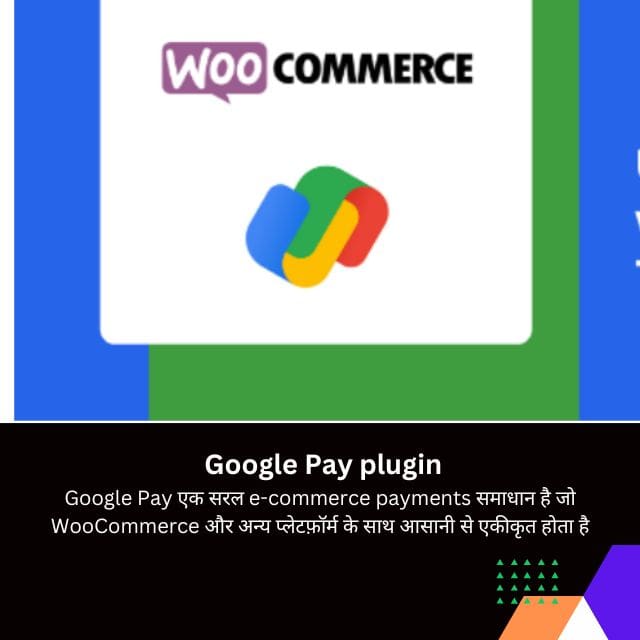 Google Pay plugin overview in Hindi 