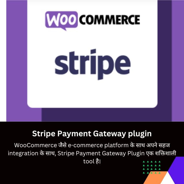 Stripe Payment Gateway plugin overview in Hindi 
